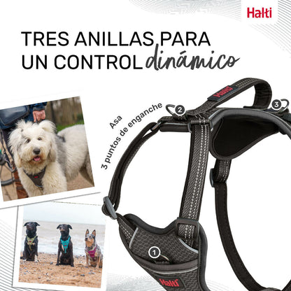 Dog Harness Company of Animals Grey M 35-55 cm Company of Animals