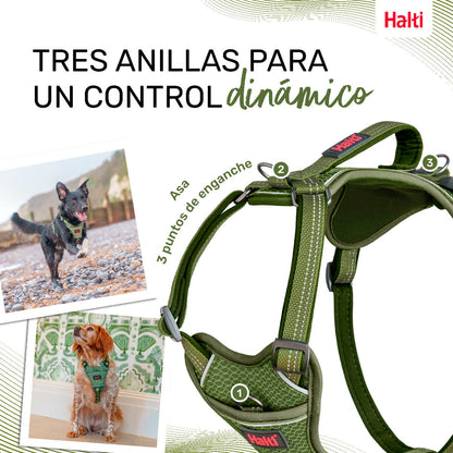 Dog Harness Company of Animals Green M 35-55 cm Company of Animals