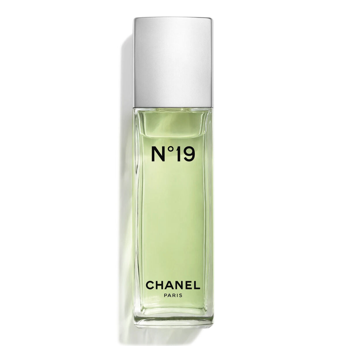 Women's Perfume Chanel EDT Nº 19 100 ml