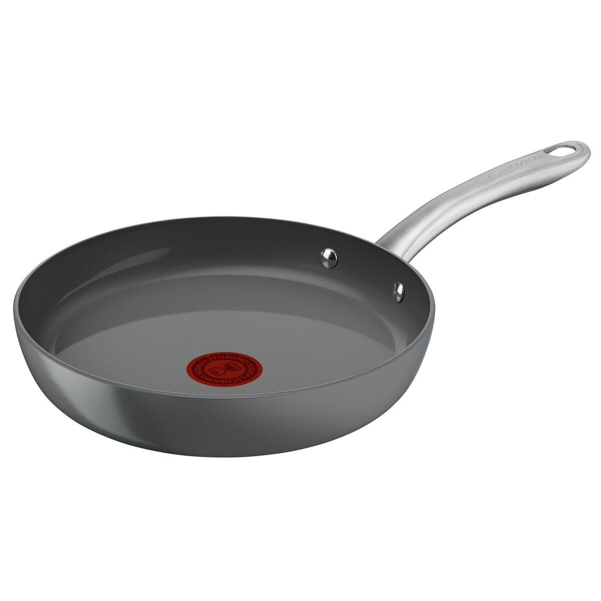 Pan Tefal C4240453 Grå Aluminium Ø 24 cm