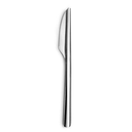 Knivsæt Amefa Ecologic Slim Metal Steel (12 enheder)