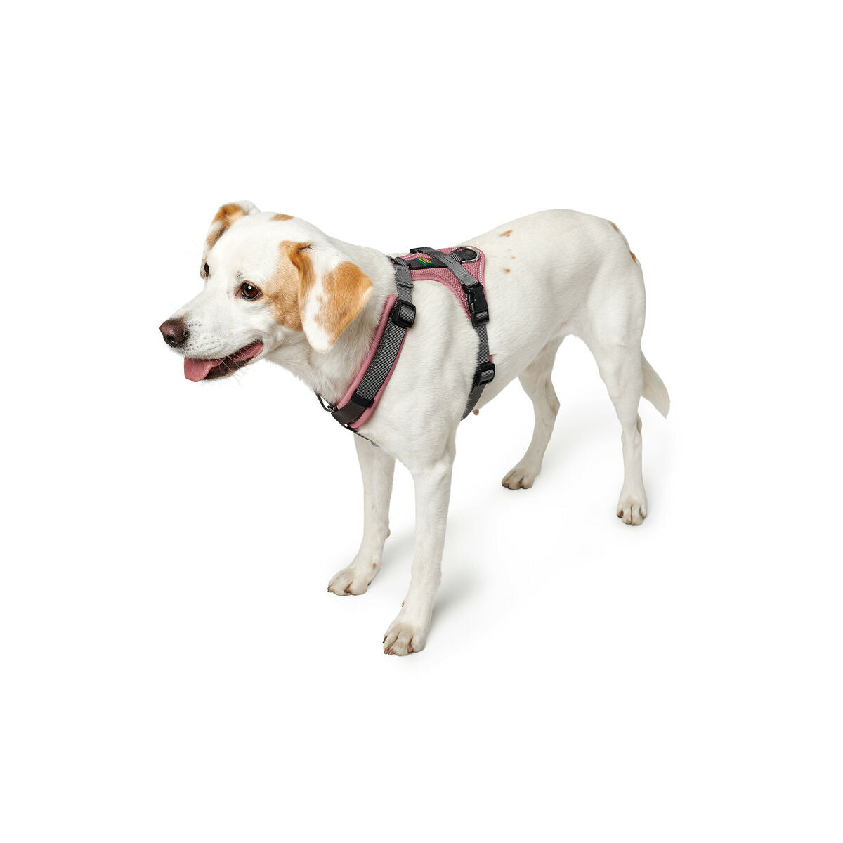 Dog Harness Hunter Pink 31-49 cm Hunter