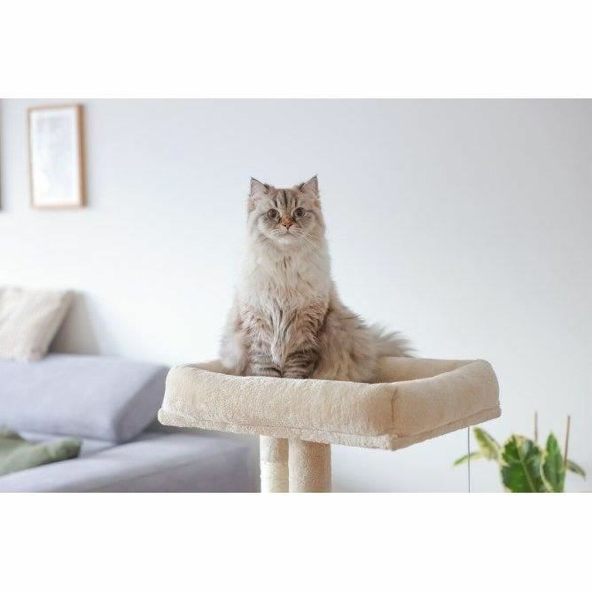 Cat scratching post Kerbl Beige Kerbl