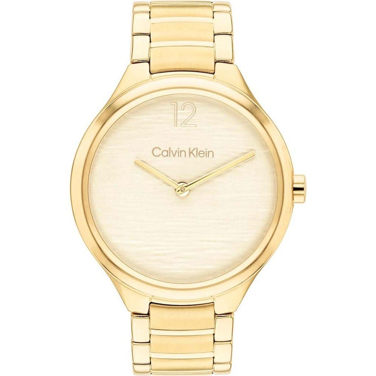 Ladies' Watch Calvin Klein 25100048 Calvin Klein