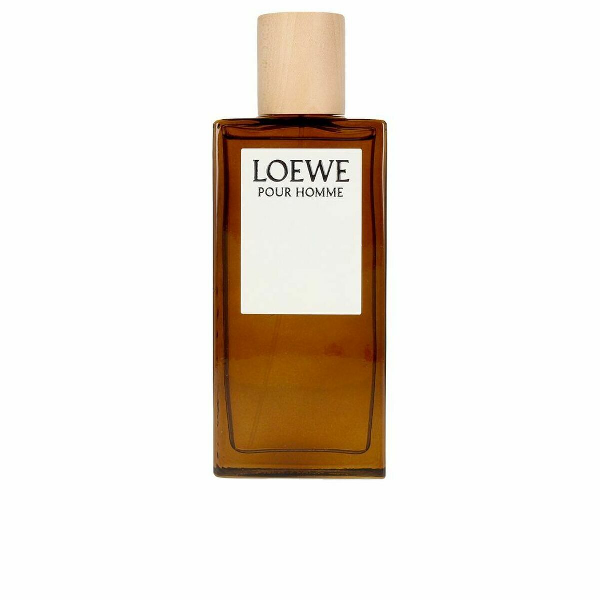 Men's Perfume Loewe EDT (100 ml) Loewe