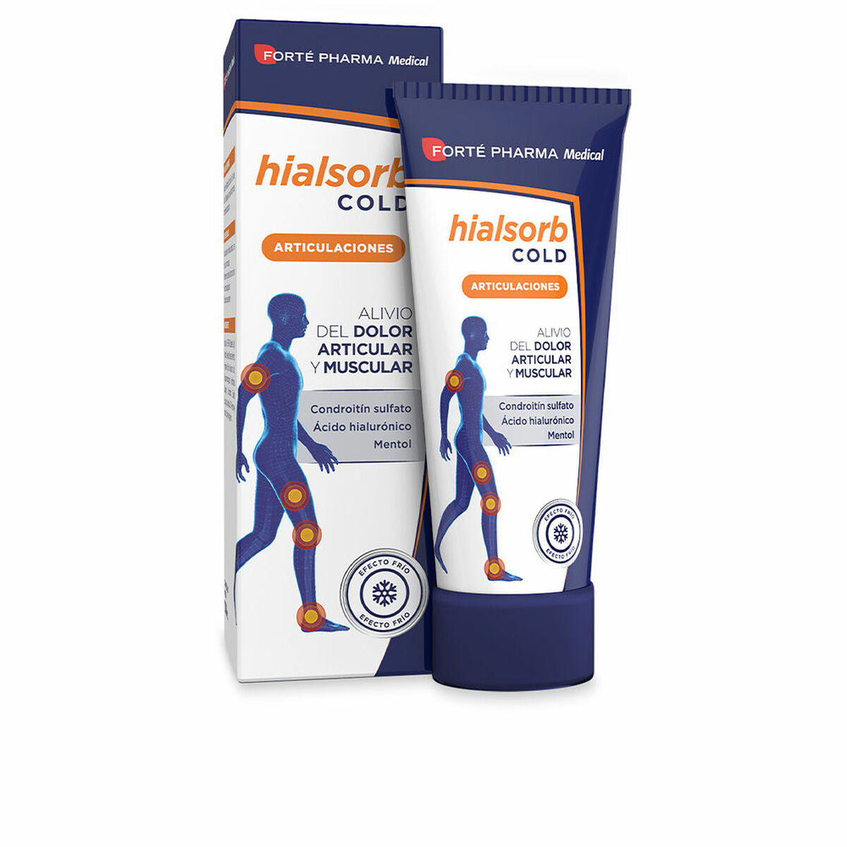 Body Cream Forté Pharma Hialsorb Cold